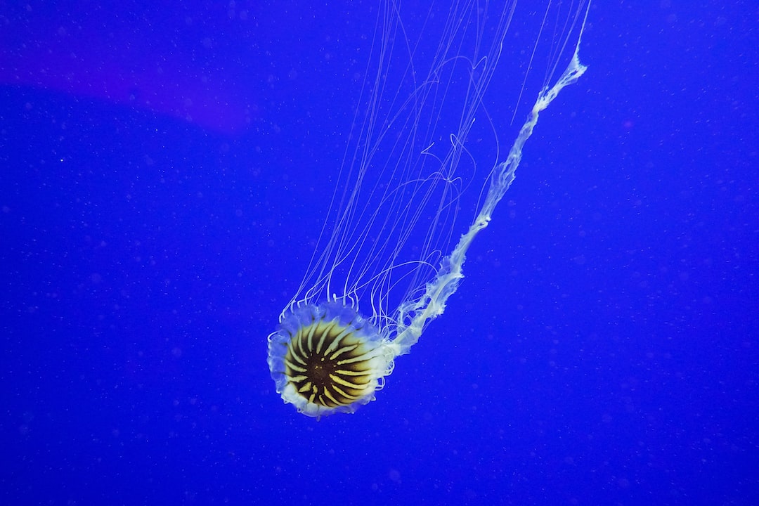 25 wichtige Fragen zu What Temperature Do Jellyfish Like?
