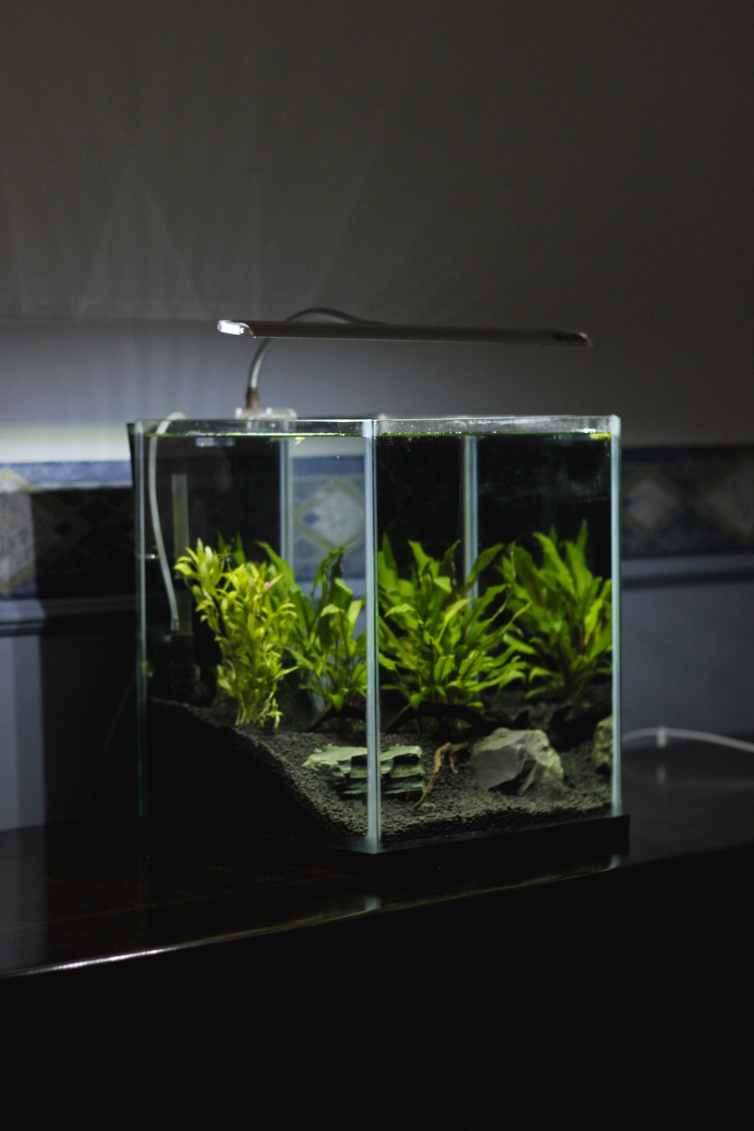 25 wichtige Fragen zu Wieviel Lumen Pro Liter Aquarium