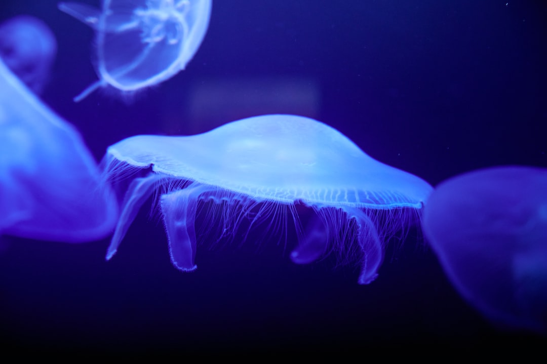 25 wichtige Fragen zu Wie Viel Natron Im Aquarium?