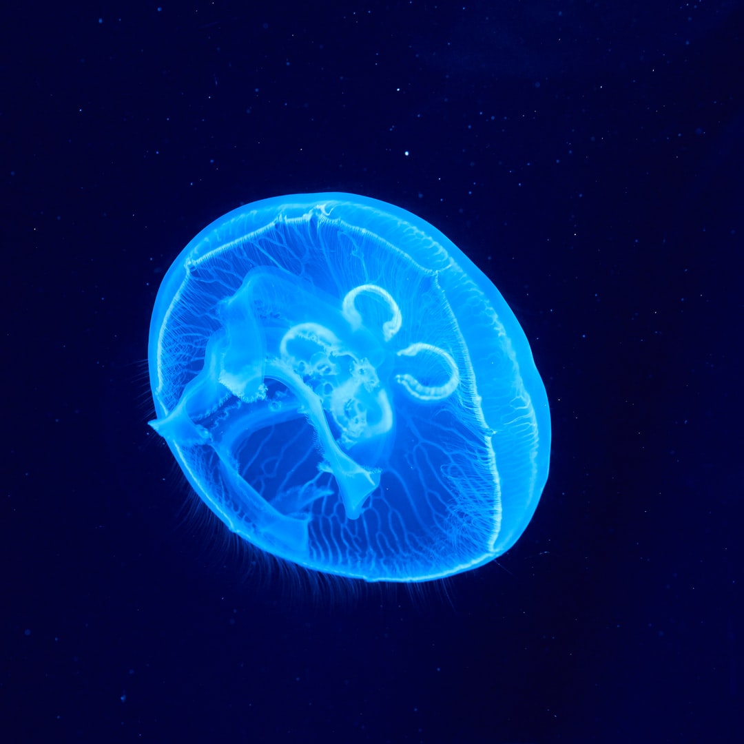 16 wichtige Fragen zu Aquarium Dosieranlage