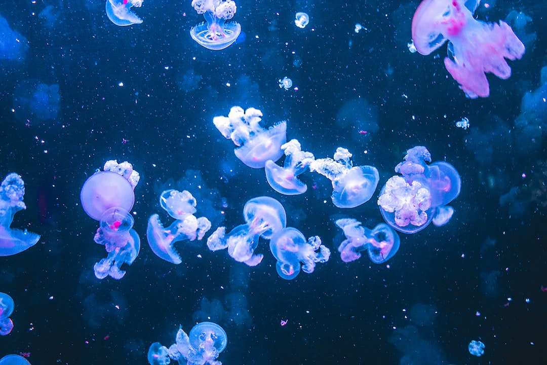 18 wichtige Fragen zu Juwel Aquarium Kratzer Entfernen