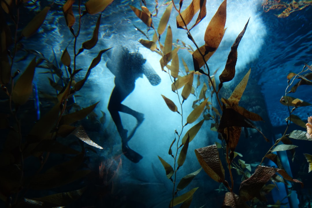 18 wichtige Fragen zu Is The Dubai Mall Aquarium Worth Visiting?