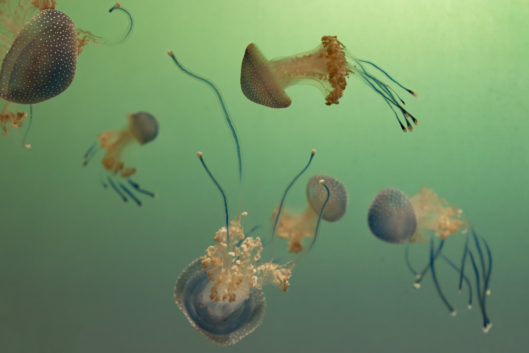 24 wichtige Fragen zu Aquarium Kies Bunt
