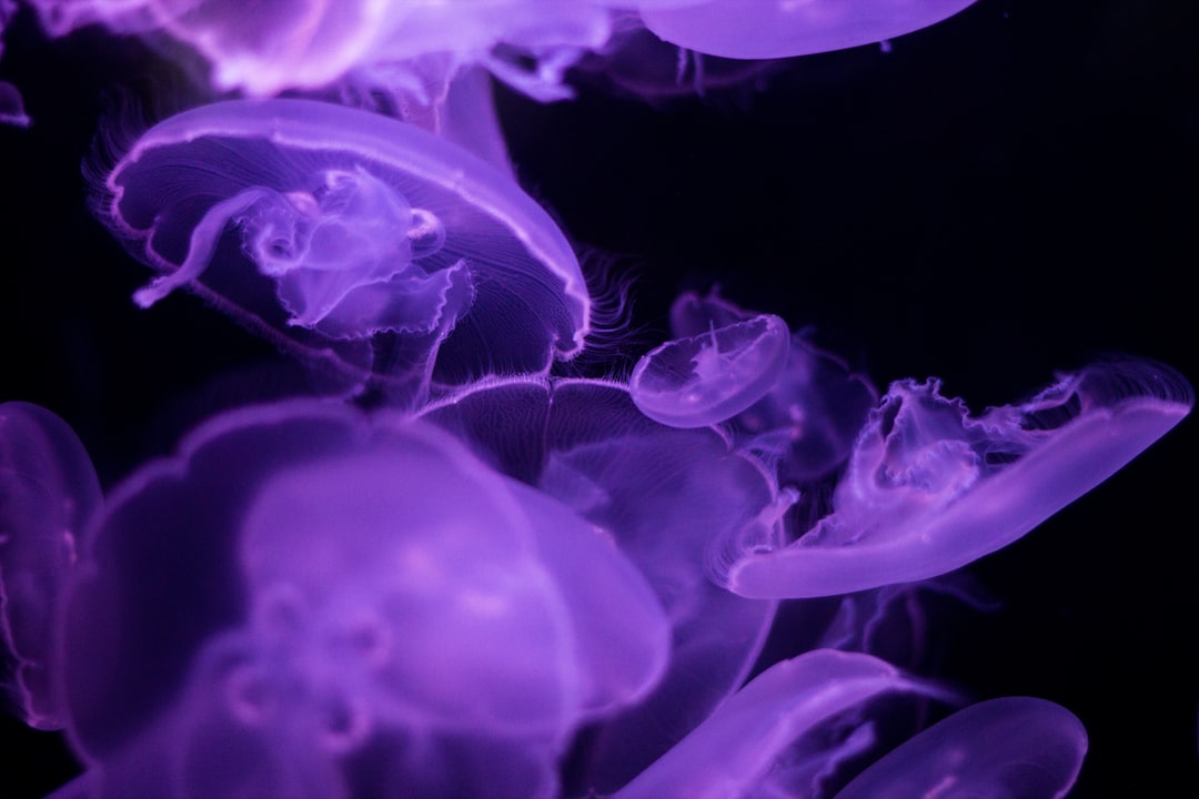 24 wichtige Fragen zu Aquarium Beleuchtung Dauer