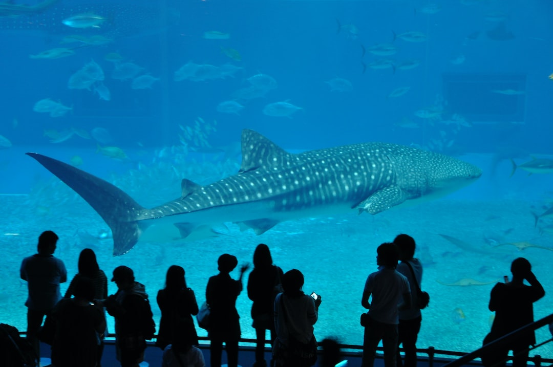 25 wichtige Fragen zu Which Is Better Tampa Zoo Or Aquarium?