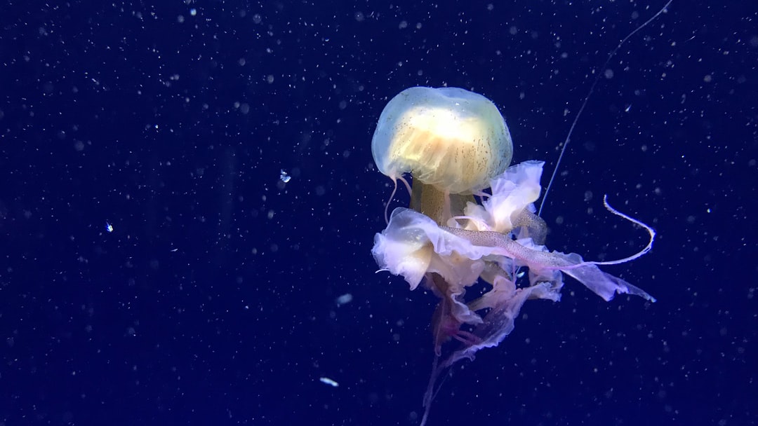 25 wichtige Fragen zu Aquarium Selbstreinigend