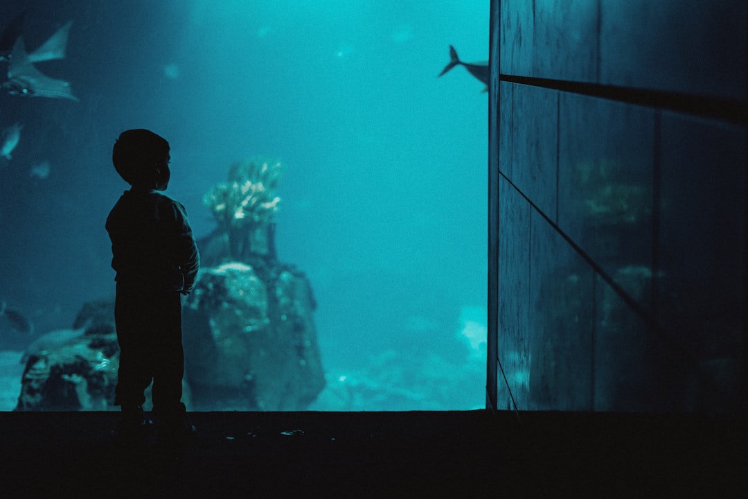 15 wichtige Fragen zu What Is The Easiest Aquarium To Maintain?