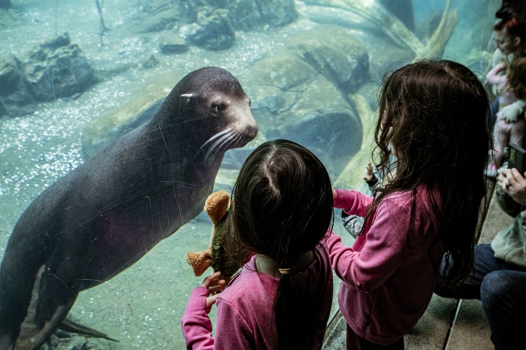 16 wichtige Fragen zu How Can I Make My Aquarium Quieter?