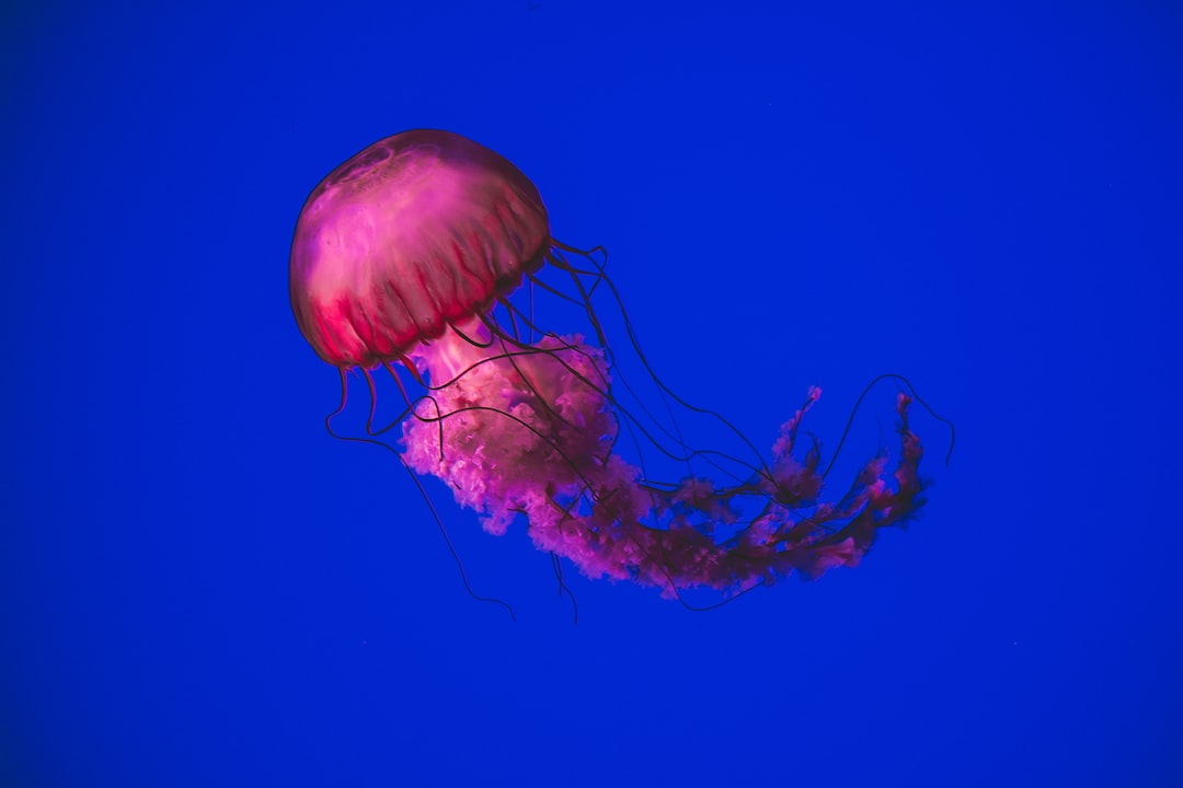 23 wichtige Fragen zu Wie Hoch Soll Der Leitwert Im Aquarium Sein?