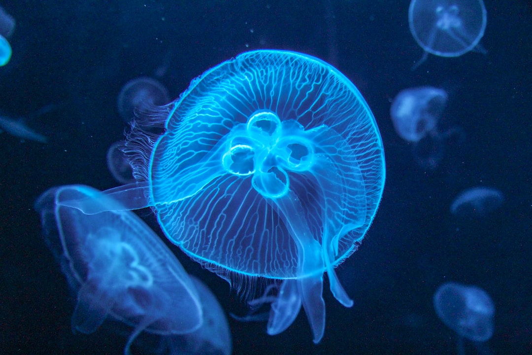 24 wichtige Fragen zu What Aquarium Plants Help With Algae?