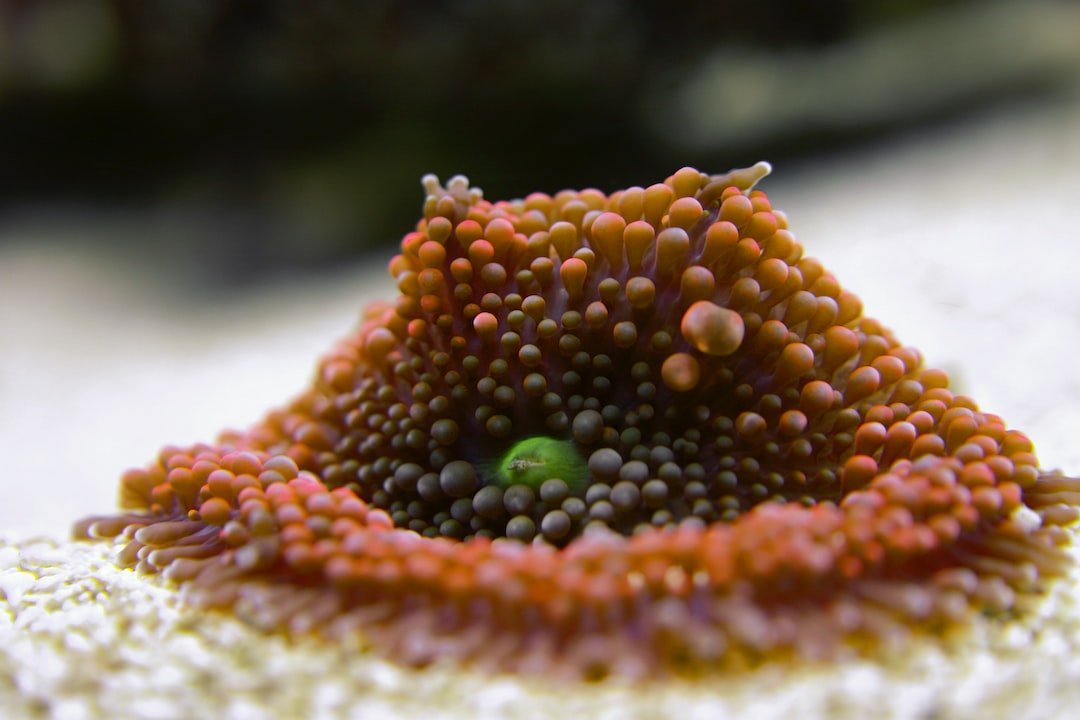 25 wichtige Fragen zu Does Aquarium Substrate Go Bad?
