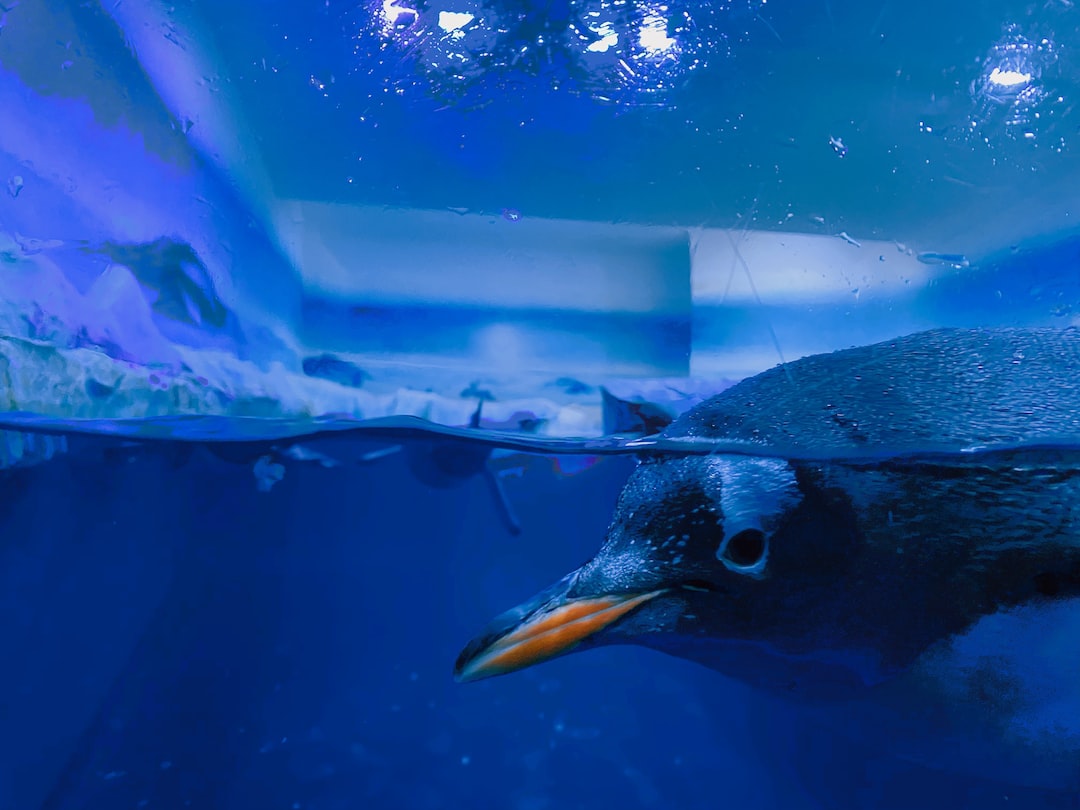 25 wichtige Fragen zu Was Ist Der Größte Zoo Auf Der Welt?