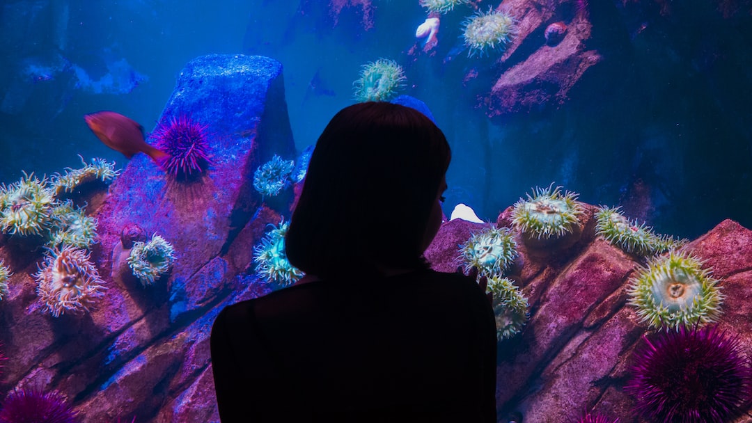 13 wichtige Fragen zu Wie Kann Man Den Gh-Wert Im Aquarium Senken?