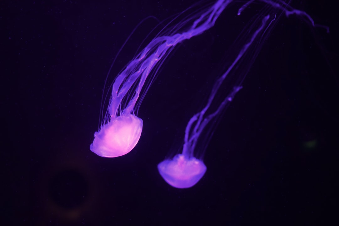 14 wichtige Fragen zu What Causes Ammonia Spike In Aquarium?