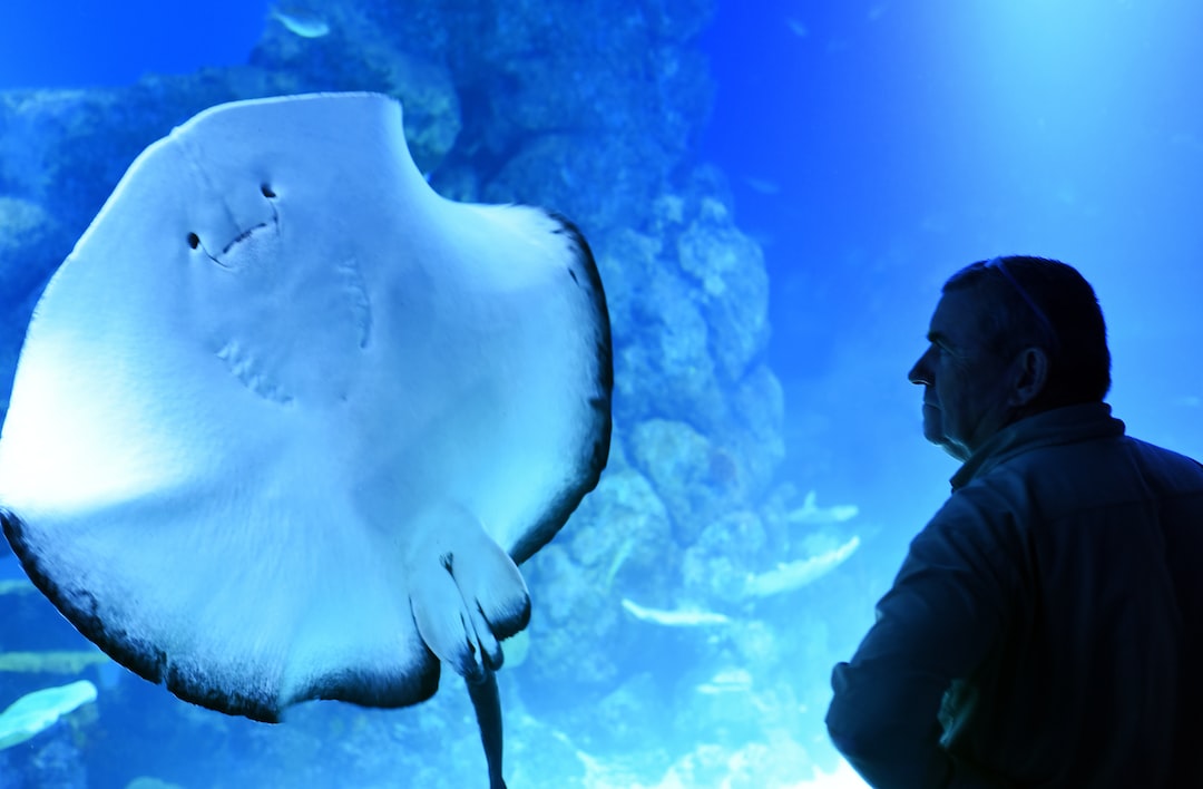18 wichtige Fragen zu Wie Kann Man Den Co2 Gehalt Im Aquarium Messen?