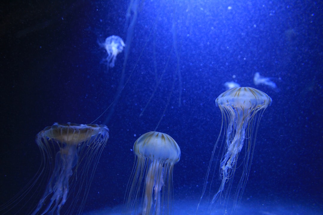 21 wichtige Fragen zu Wie Kommt Co2 Ins Wasser Aquarium?
