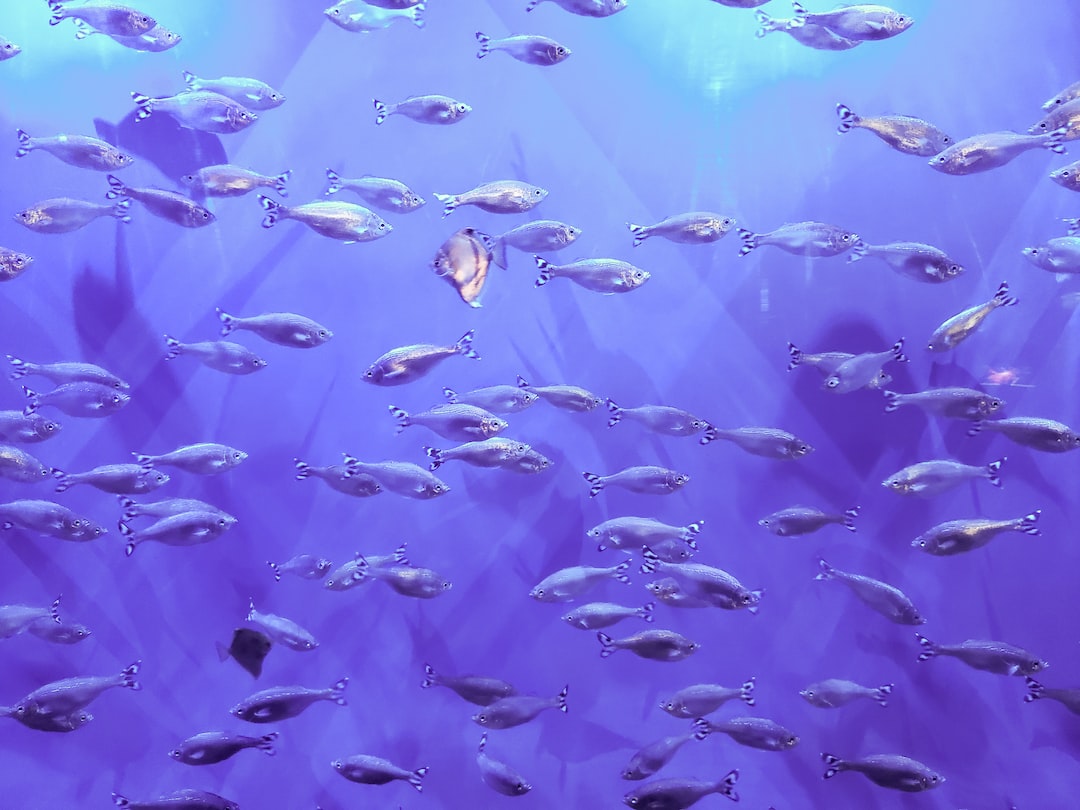 21 wichtige Fragen zu How Do You Clear Tannins In An Aquarium?