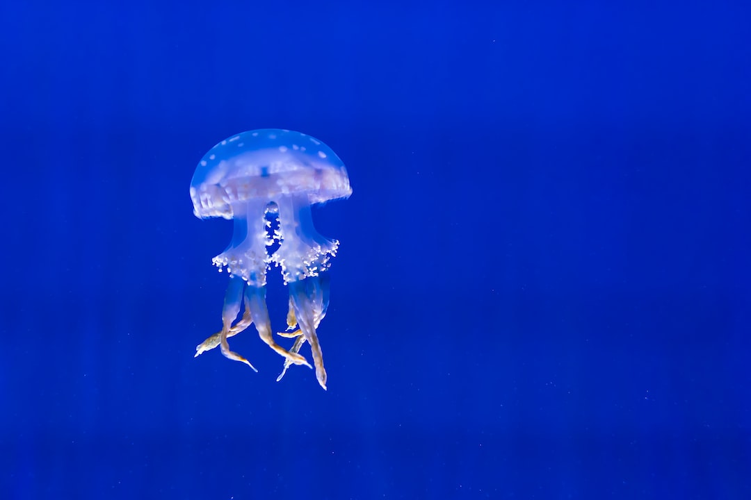 23 wichtige Fragen zu Welche Tiere Gegen Schnecken Im Aquarium?