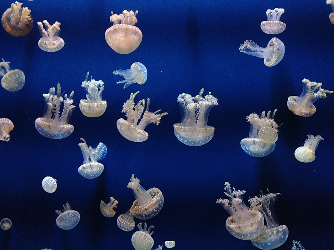 25 wichtige Fragen zu Aquarium Tauschen