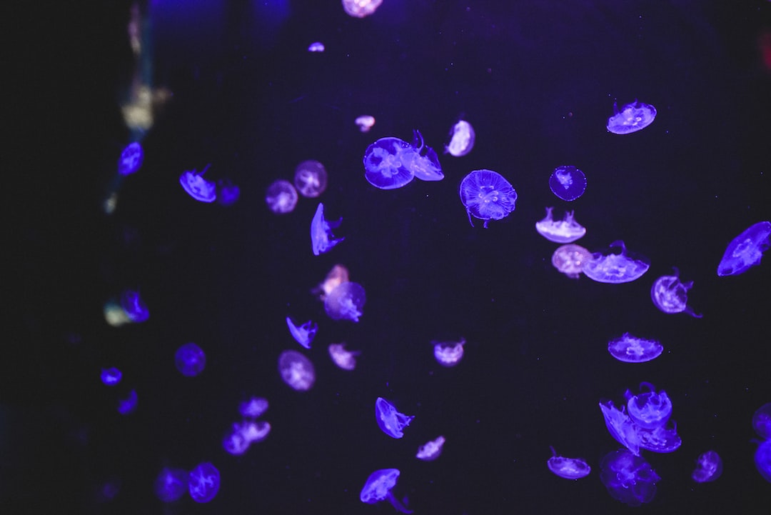 25 wichtige Fragen zu Glasscheibe Aquarium