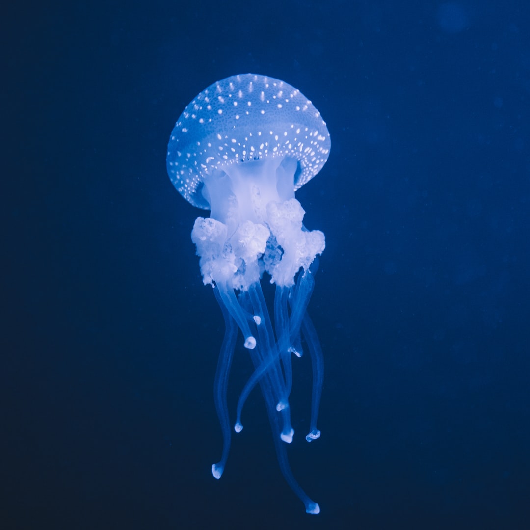 25 wichtige Fragen zu Aquarium Schnecken Die Sich Nicht Vermehren