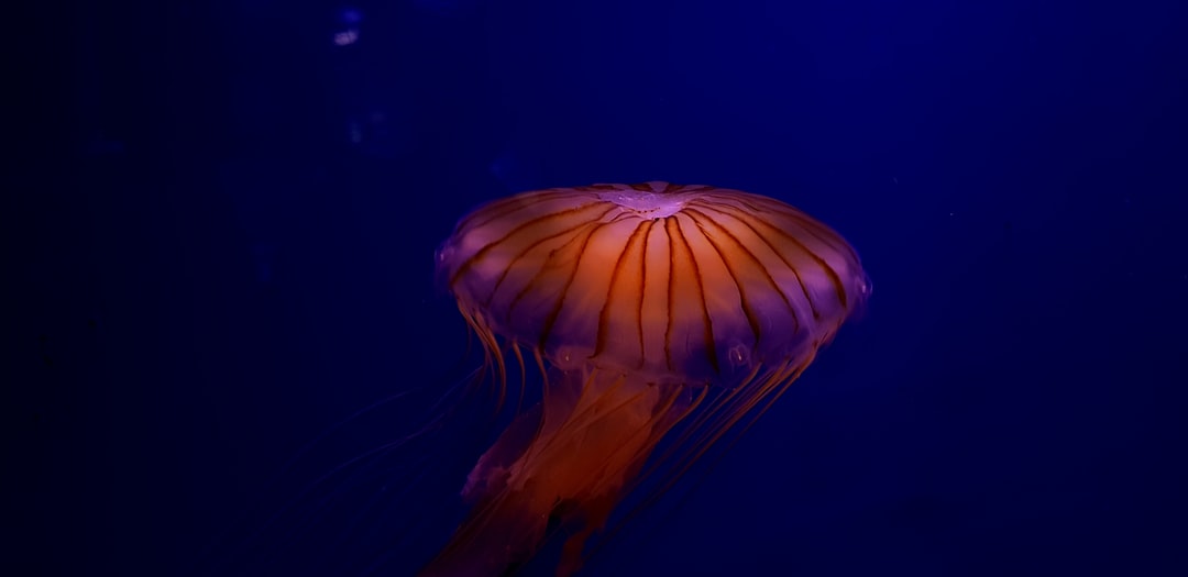 25 wichtige Fragen zu Welche Tiere Halten Den Aquarium Boden Sauber?