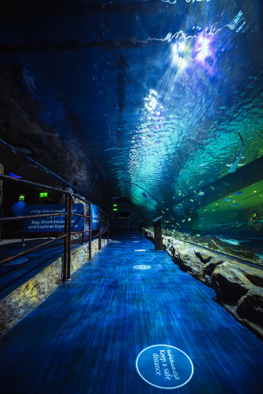 25 wichtige Fragen zu Wie Lange Dunkel Im Aquarium?