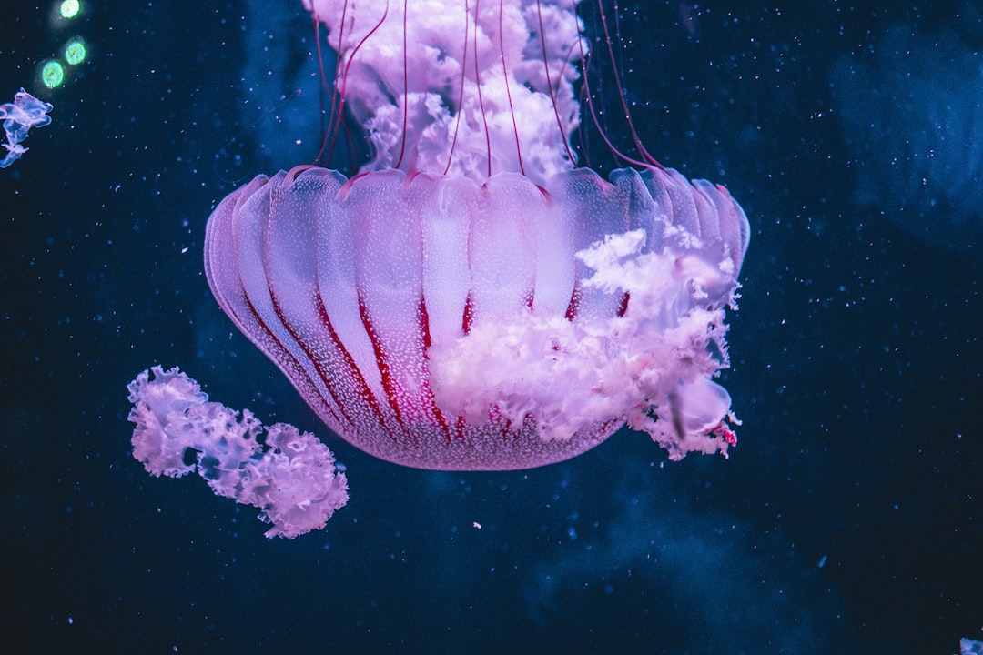 22 wichtige Fragen zu Wie Länge Soll Das Licht Im Aquarium An Bleiben?