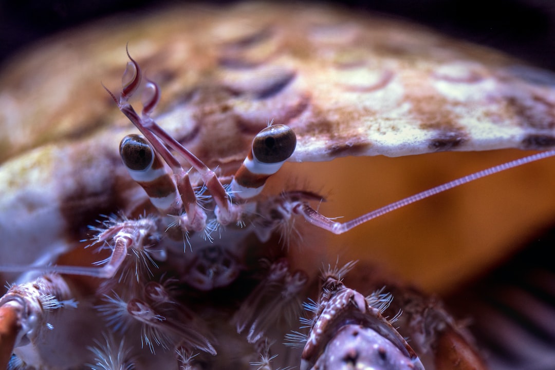 23 wichtige Fragen zu Wie Warm Muss Das Wasser Für Axolotl Sein?