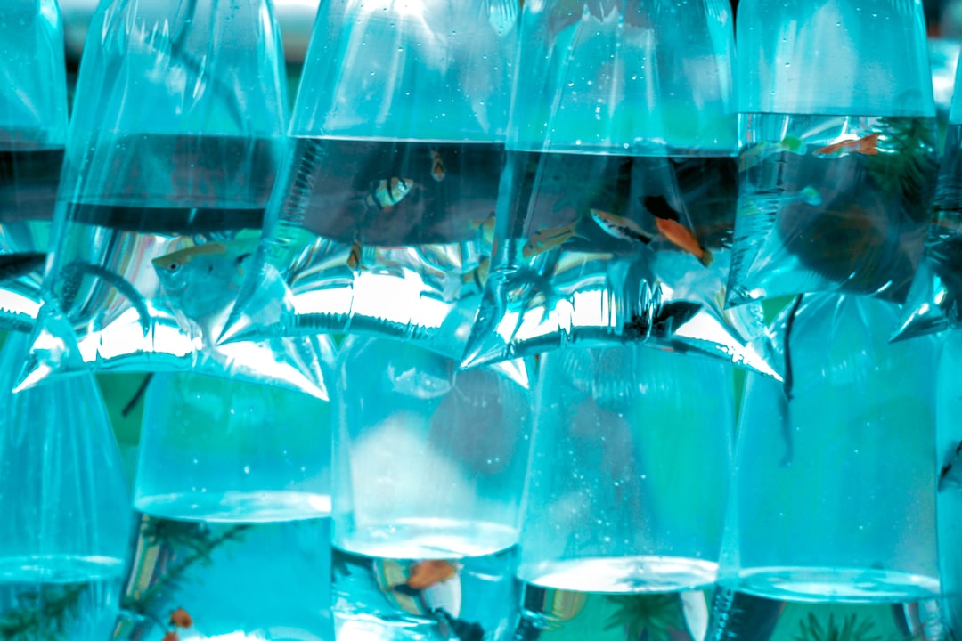 23 wichtige Fragen zu How Do You Make An Aquarium Filter Box?