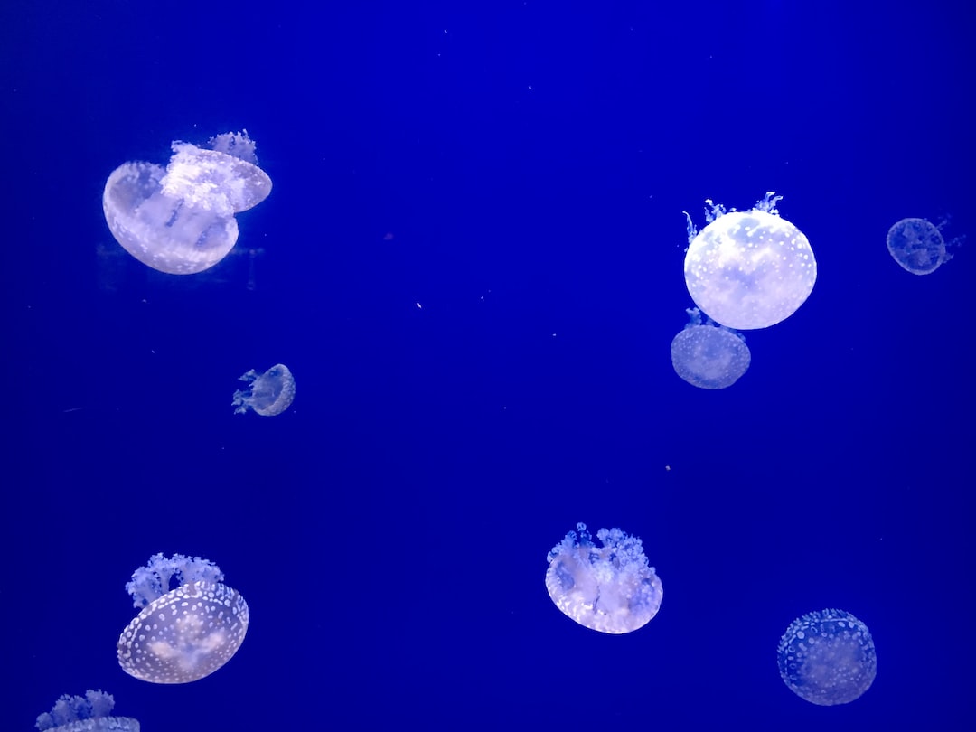 24 wichtige Fragen zu Aquarium Silikon