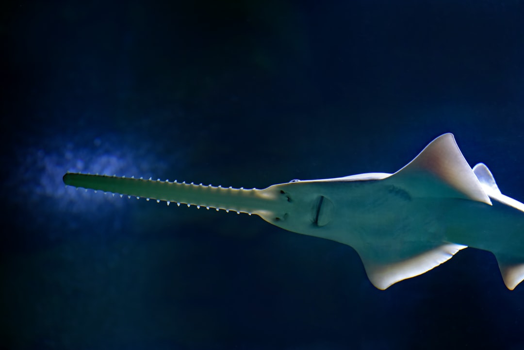 25 wichtige Fragen zu Schneckenfalle Aquarium