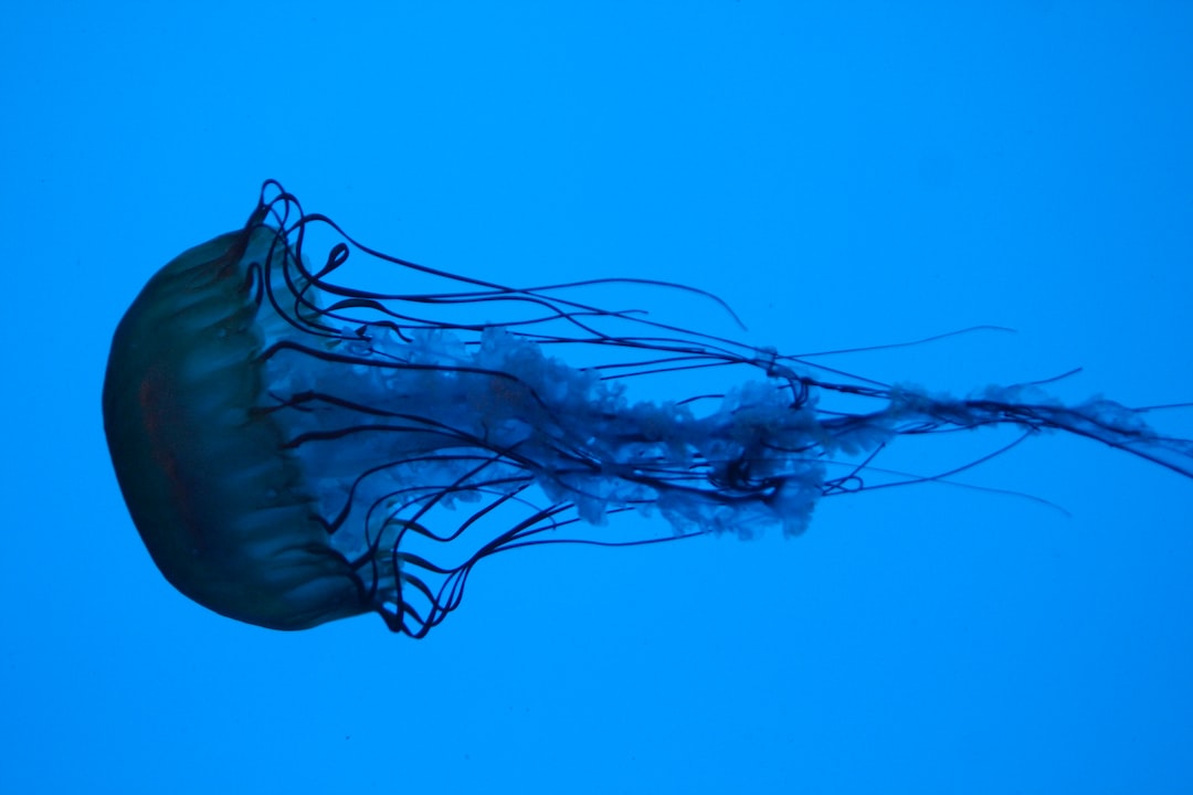25 wichtige Fragen zu Aquarium Beleuchtung Berechnen