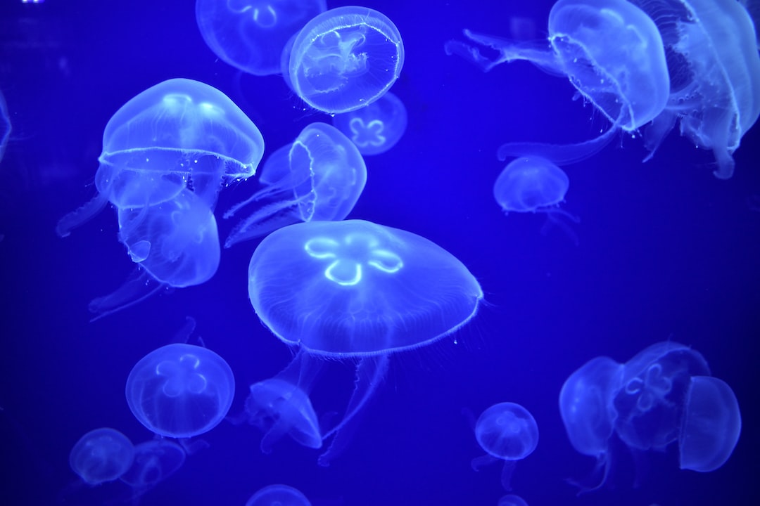 25 wichtige Fragen zu Welche Wassertemperatur Muss Ein Aquarium Haben?