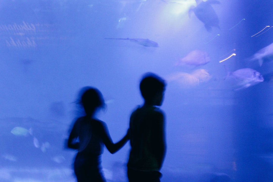 15 wichtige Fragen zu Wie Transportiert Man Aquarium Fische Am Besten?