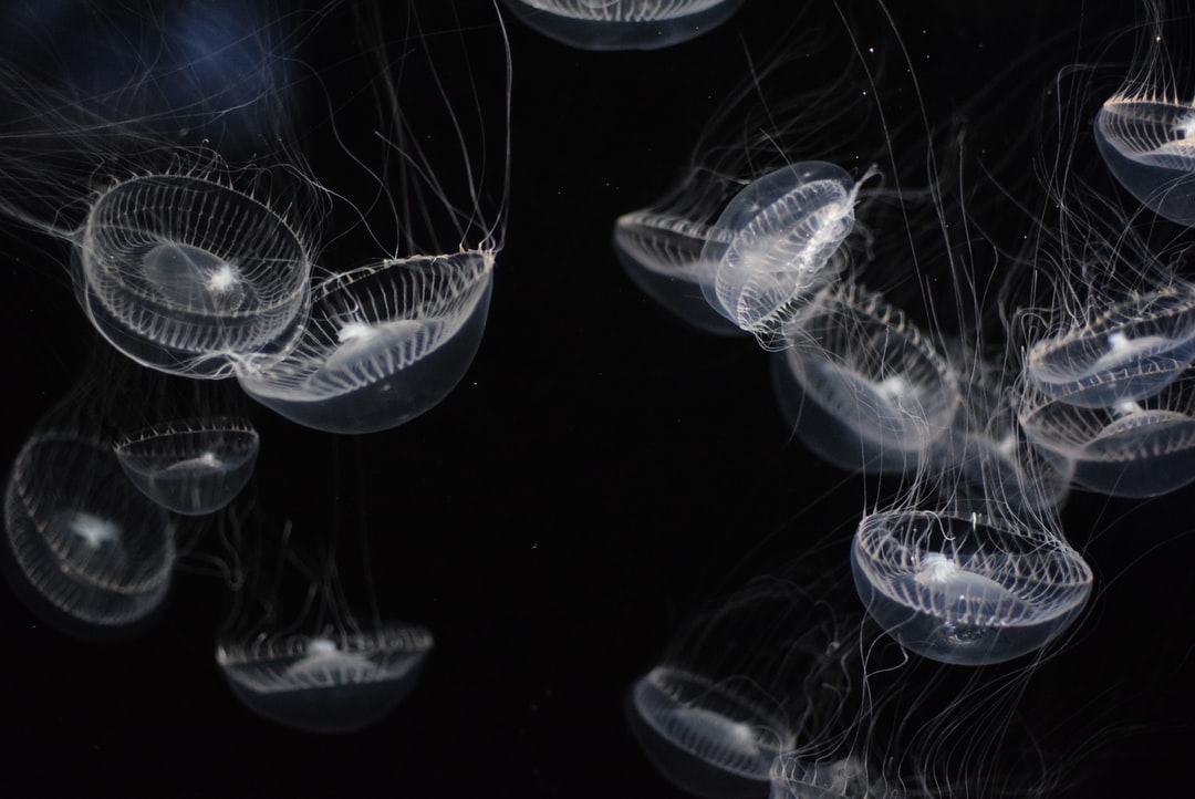 19 wichtige Fragen zu Wie Funktioniert Ein Diffusor Im Aquarium?