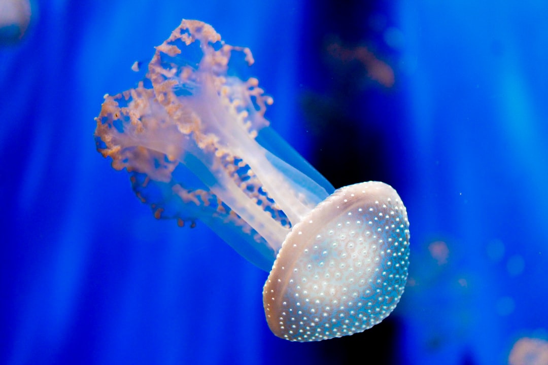 22 wichtige Fragen zu Aquarium Wasser Aufhärten