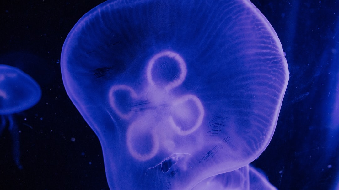 23 wichtige Fragen zu Aquarium Schnecken Schwarz