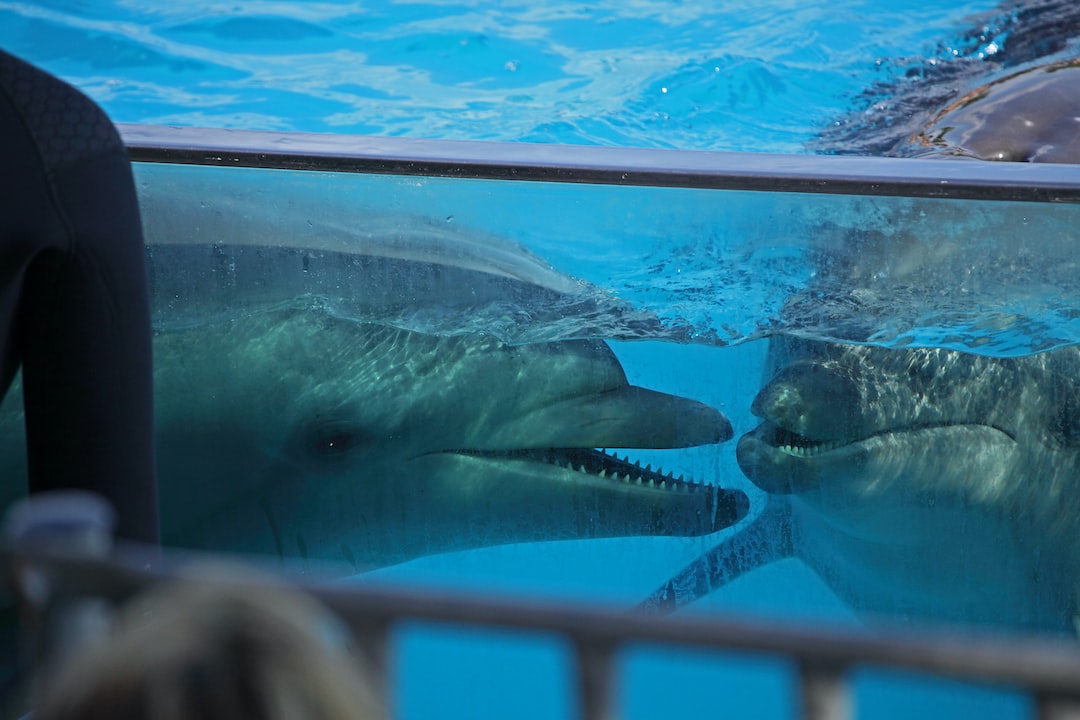 24 wichtige Fragen zu Welche Tiere In 30 Liter Aquarium?