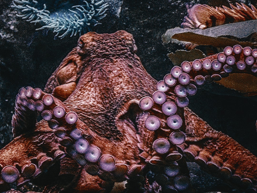 25 wichtige Fragen zu Was Machen Bakterien Im Aquarium?