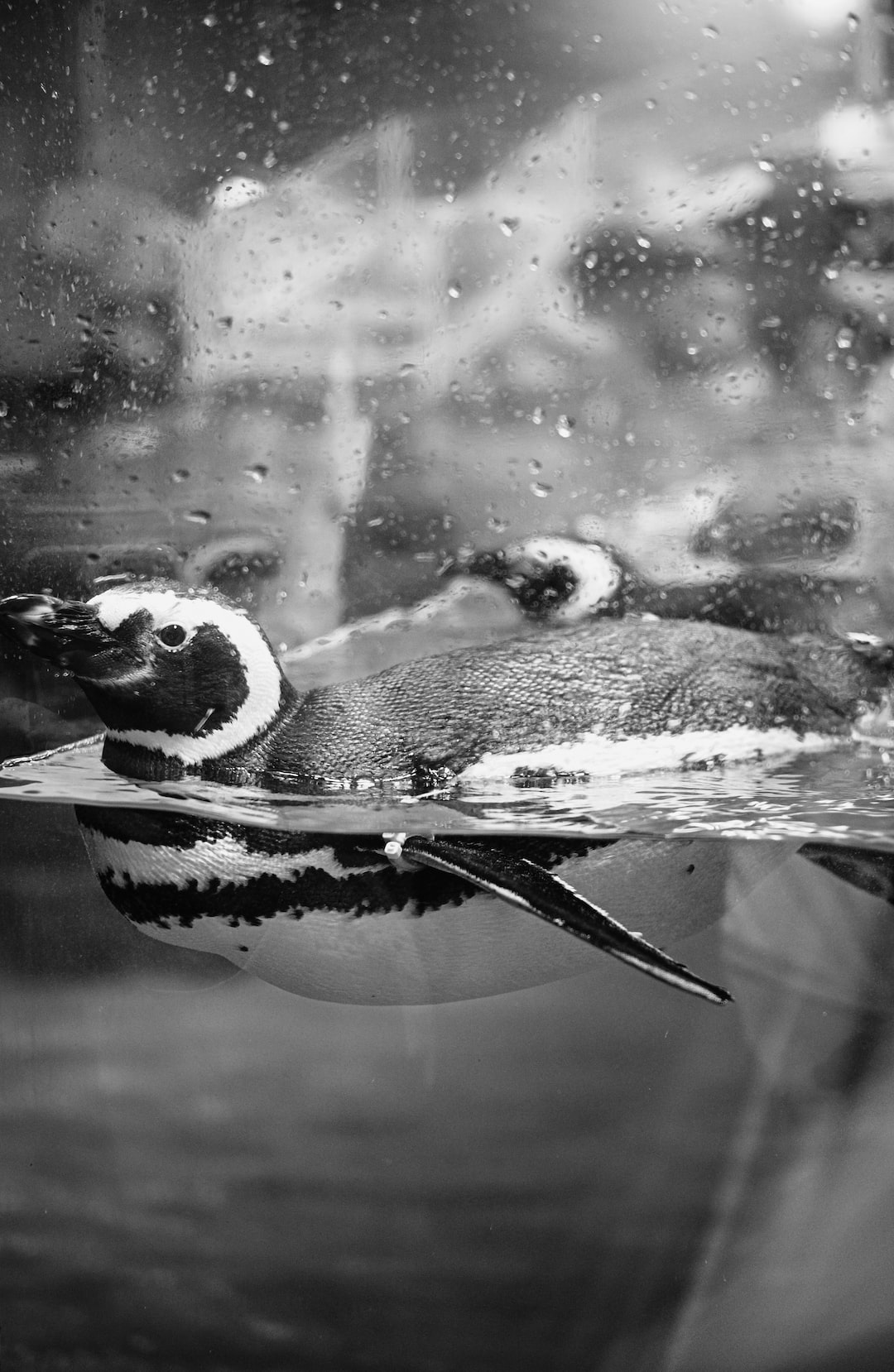 25 wichtige Fragen zu Kölner Zoo Aquarium
