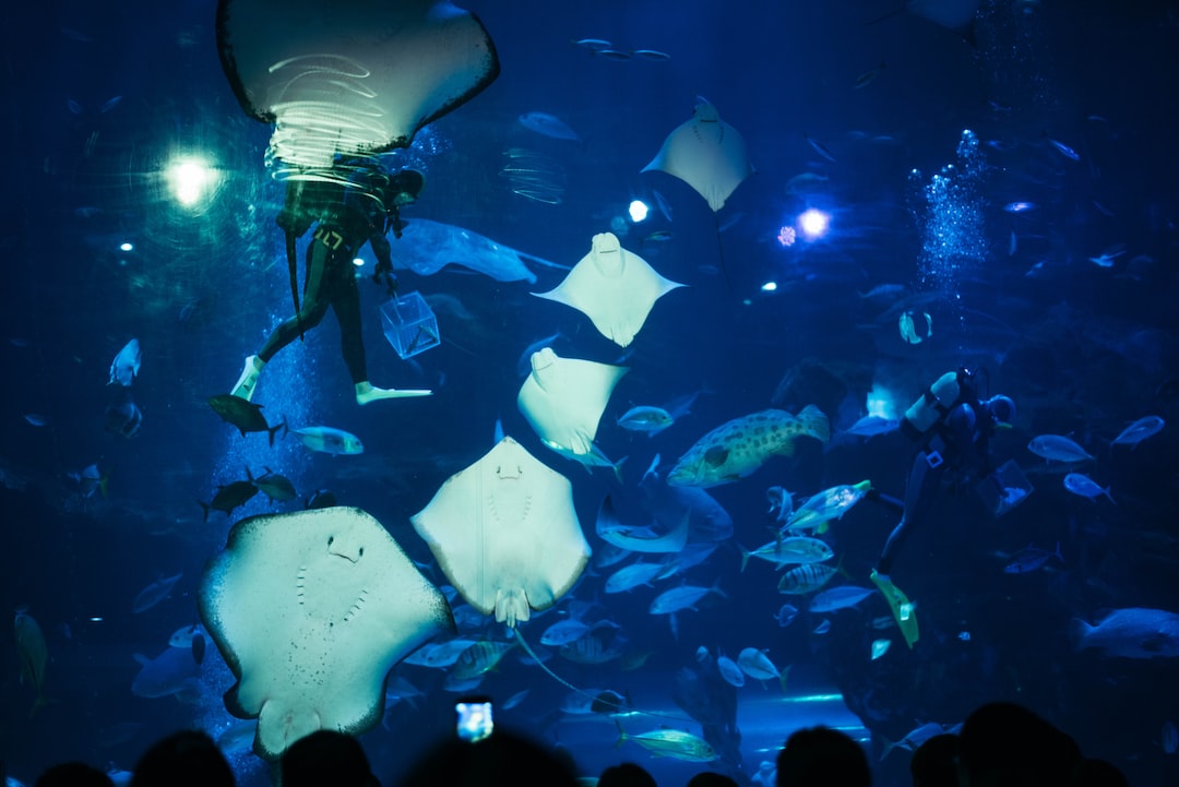 17 wichtige Fragen zu Aquarium Wasser Trüb