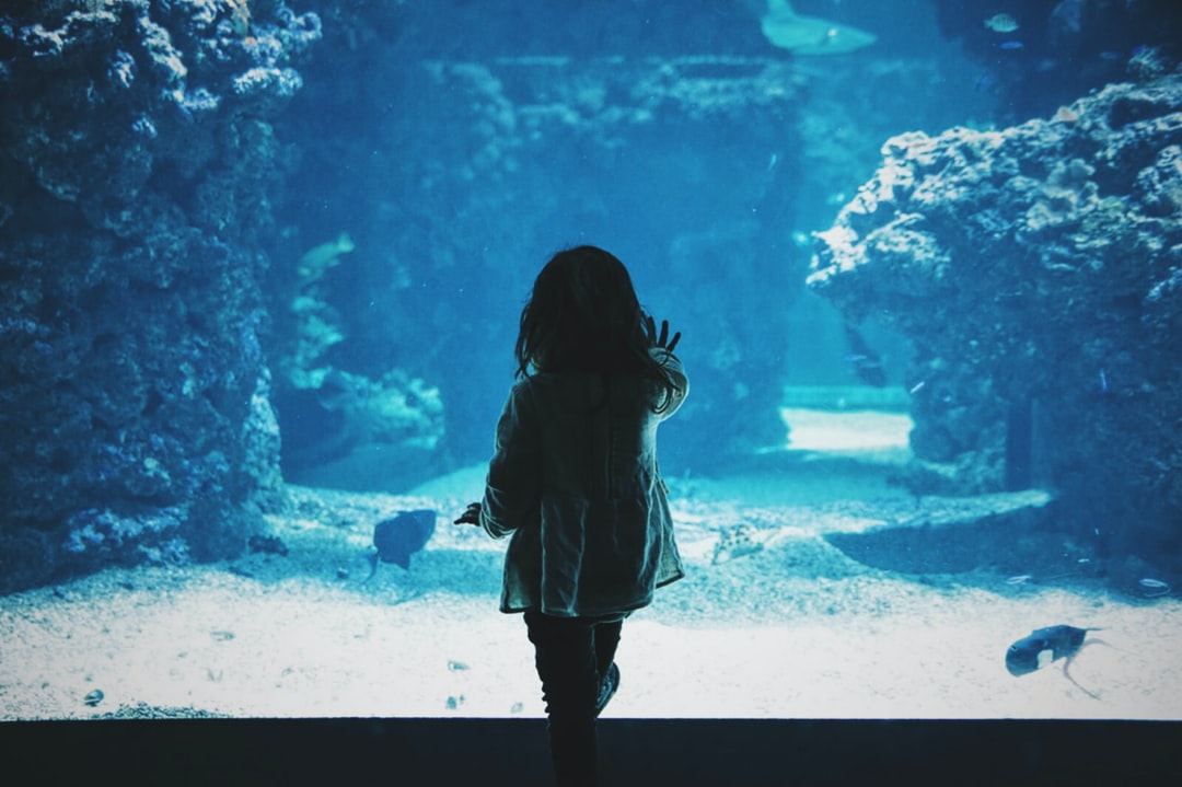 23 wichtige Fragen zu Unter Wasser Aquarium