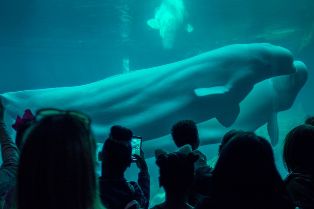 23 wichtige Fragen zu What Is The Second Biggest Aquarium In The Us?