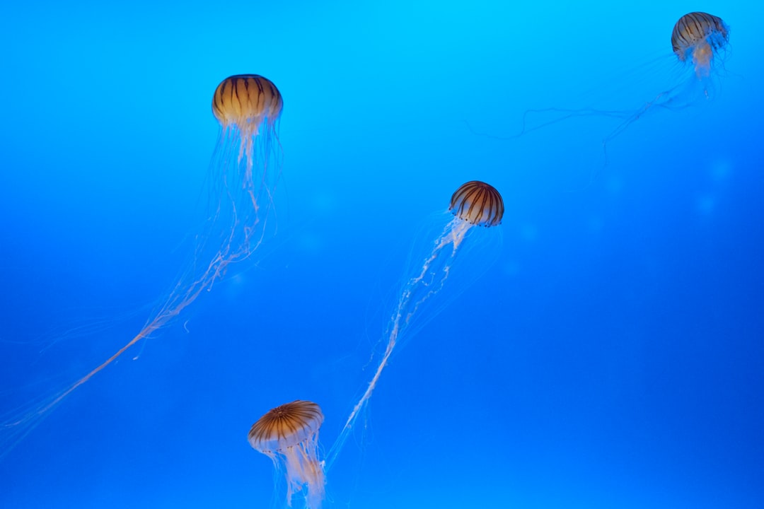 24 wichtige Fragen zu Wie Viel Licht Braucht Ein Aquarium Am Tag?
