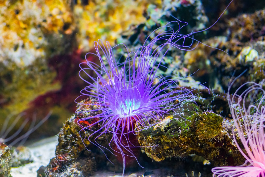 25 wichtige Fragen zu Aquarium Filter Aussen