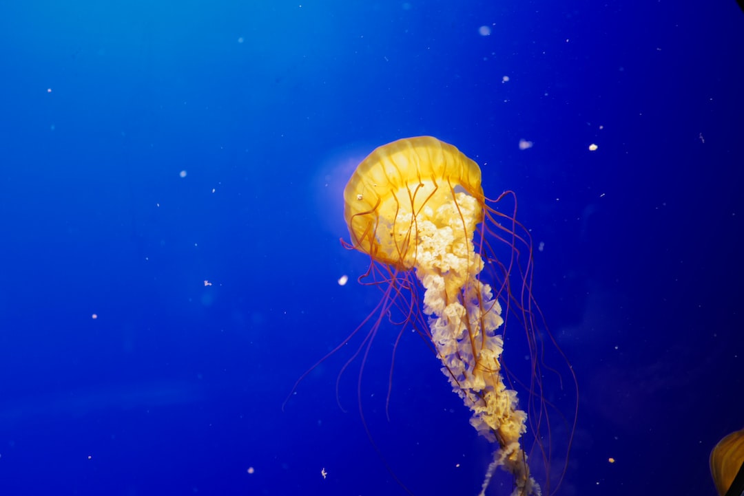 25 wichtige Fragen zu Welche Aquarium App?