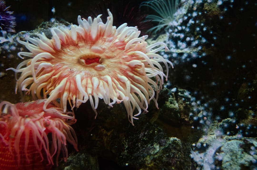 25 wichtige Fragen zu Aquarium Idee