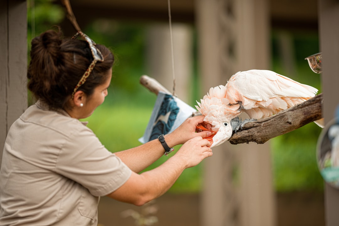10 wichtige Fragen zu Ist Es Moralisch Vertretbar In Zoos Zu Gehen?