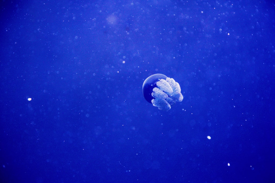 13 wichtige Fragen zu Warum Sterben Alle Welse Im Aquarium?